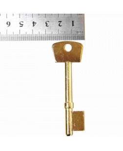 Old Shape Key  120B