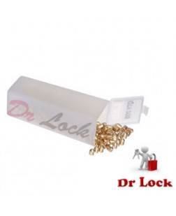 Lock Pins Standard LAB Pin no.1