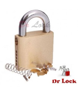Padlock Locksmith Kit Form 