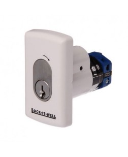 LIW KEY SWITCH OVAL 2 SPRING RETURN TO CENTRE