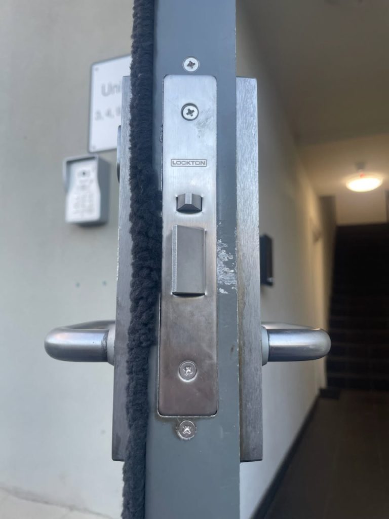 Aluminium door lock with glass door - Harris Park locksmith